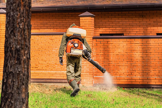 Trusted Fumigation Services service in Neuse Forest, NC - Nex Pest Control